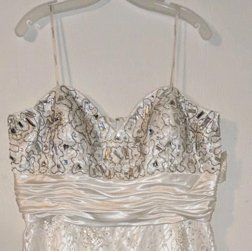 David's bridal gown size 22